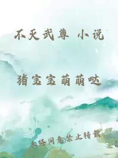 不灭武尊 小说