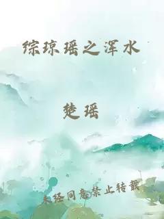 综琼瑶之浑水