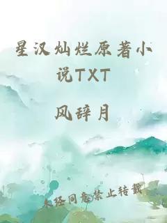 星汉灿烂原著小说TXT