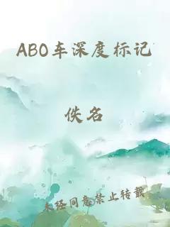 ABO车深度标记