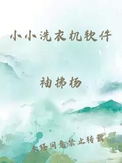 小小洗衣机软件