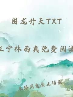 困龙升天TXT