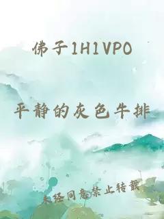 佛子1H1VPO