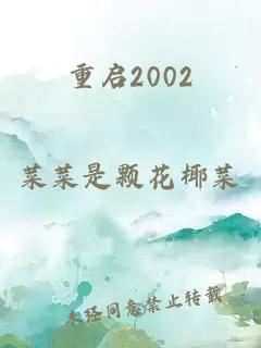 重启2002