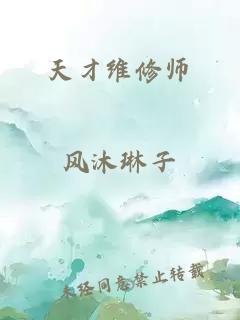 天才维修师