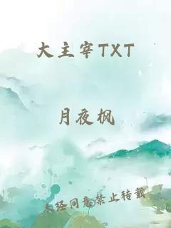 大主宰TXT