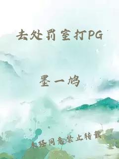 去处罚室打PG