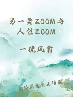 另一类ZOOM与人性ZOOM