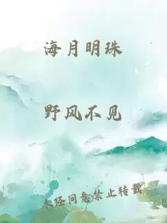 海月明珠