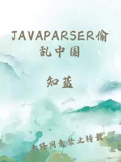 JAVAPARSER偷乱中国