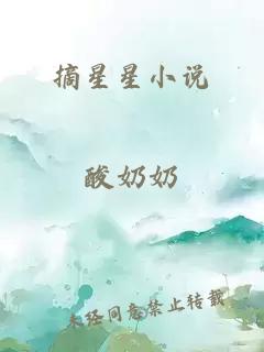 摘星星小说