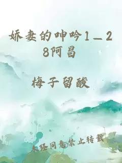 娇妻的呻吟1—28阿昌