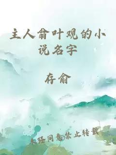 主人翁叶观的小说名字