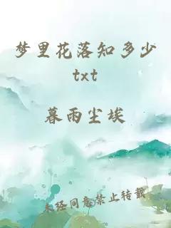 梦里花落知多少txt