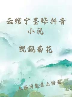 云绾宁墨晔抖音小说