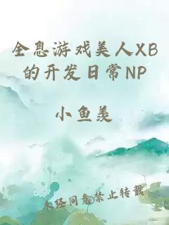 全息游戏美人XB的开发日常NP