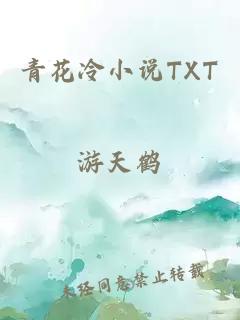 青花冷小说TXT