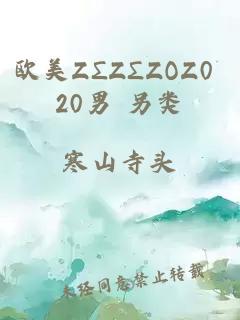 欧美ZΣZΣZOZ0 20男 另类