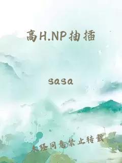 高H.NP抽插