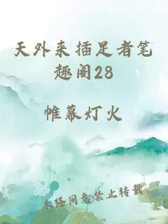 天外来插足者笔趣阁28