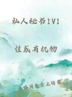 私人秘书1V1