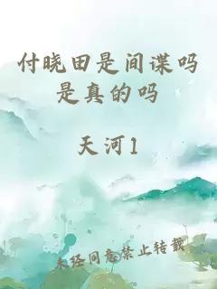 付晓田是间谍吗是真的吗