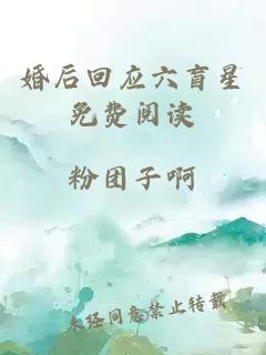 婚后回应六盲星免费阅读