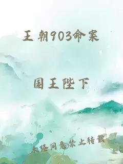 王朝903命案