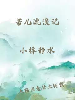 苦儿流浪记