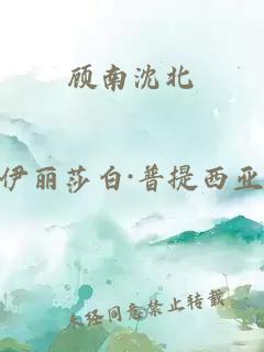 顾南沈北