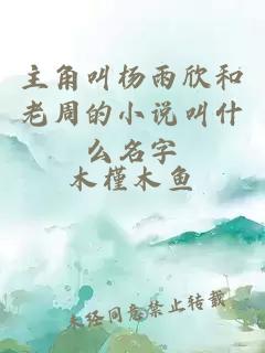 主角叫杨雨欣和老周的小说叫什么名字