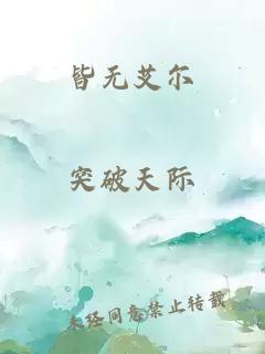 皆无艾尔