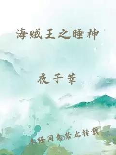 海贼王之睡神