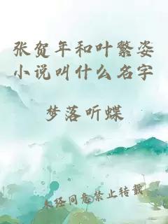 张贺年和叶繁姿小说叫什么名字