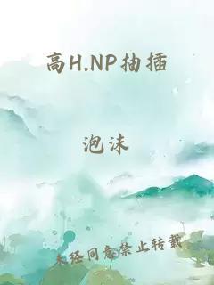 高H.NP抽插