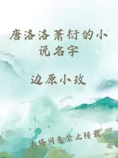 唐洛洛萧衍的小说名字