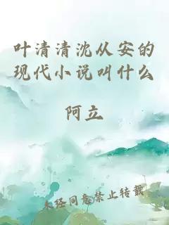 叶清清沈从安的现代小说叫什么