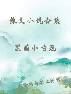 辣文小说合集