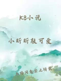 K8小说