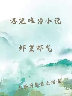 君宠难为小说