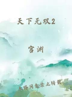 天下无双2