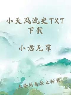 小天风流史TXT下载