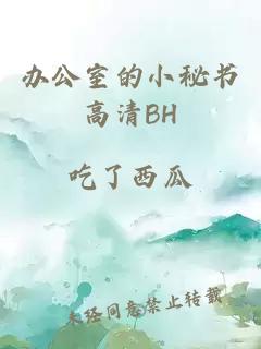 办公室的小秘书高清BH