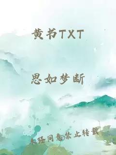 黄书TXT