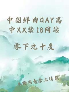 中国鲜肉GAY高中XX禁18网站