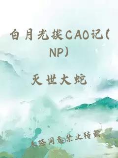 白月光挨CAO记(NP)