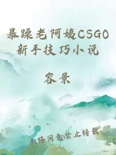 暴躁老阿姨CSGO新手技巧小说