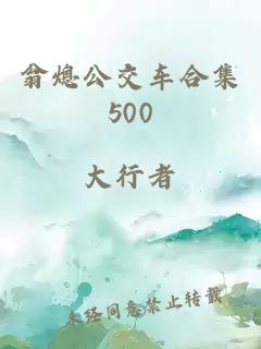 翁熄公交车合集500