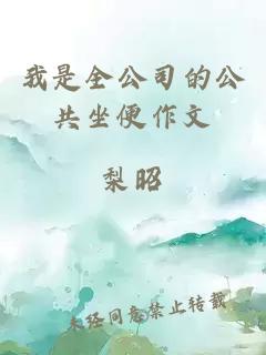 我是全公司的公共坐便作文