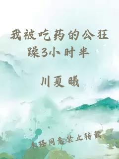 我被吃药的公狂躁3小时半